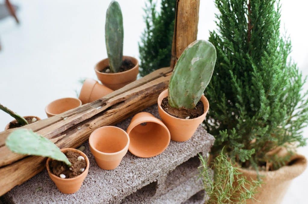 Bois recyclé au jardin : les bons réflexes