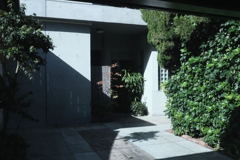 Cour intérieure bétonnée : comment la transformer en oasis