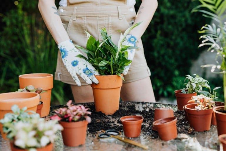5 erreurs qui rétrécissent visuellement un petit jardin