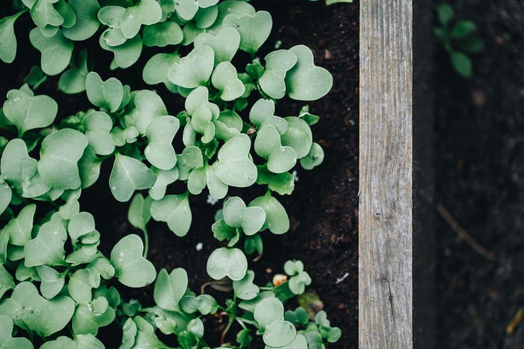 Optimiser un jardin de 5 m² : le guide complet
